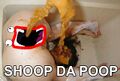 SHOOP DA POOP