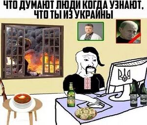 Ukrainian internet warrior vkontakte.jpg