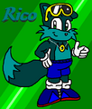 Mandatory Sonic fancharacter. Recolored Tails, amirite?