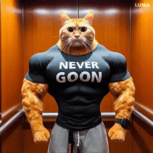 NEVER GOON CAT.gif