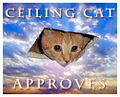 May the blessings of Ceiling Cat remain with you always