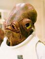 This one Scifags may already be familiar with. Admiral Ackbar usually means that everything is fine and it is safe to proceed.