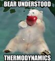 bear understood thermodynamics.