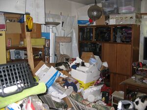 Hoarding - 03 - 01.jpg