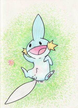 Mudkip by StrangerWithCandy.jpg