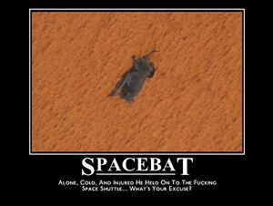 Space bat 17.jpg