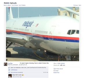 MH17 Facebook Missing.png