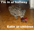 Hallwaycat version.