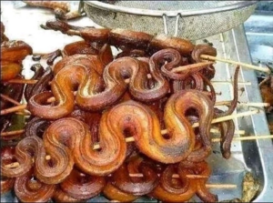 Snake kebab (nigeria).png