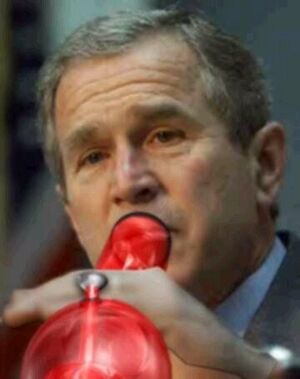 Bush bong.jpg