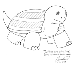 K7turtle.png