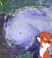 Hurricane Rita, She did it for the lulz, made her own hurricane and pwned ppl.