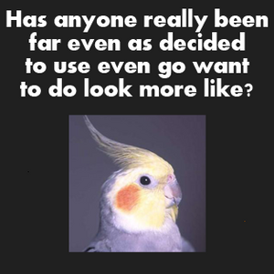 Birdspeak.png