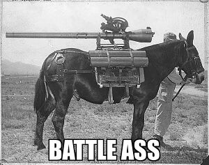 Battle Ass.jpg