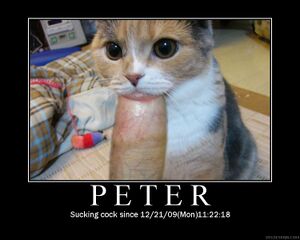 Peter sucking cock.jpg