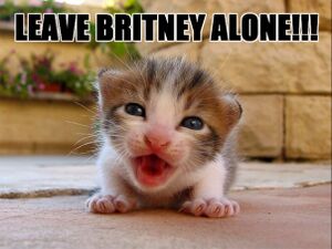 Leave-britney-alone.jpg