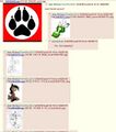 A typical dump thread on 4chan.