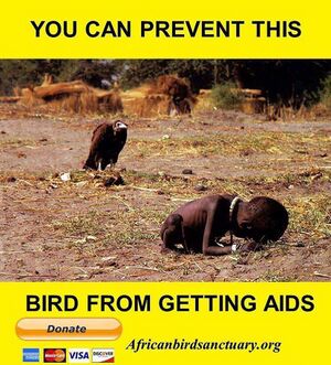 African bird sanctuary.jpg