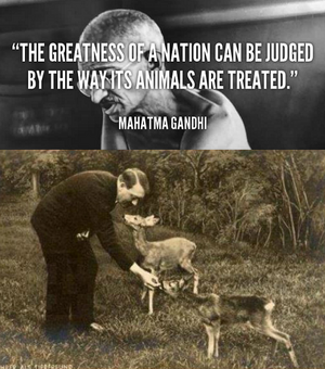 Gandhi treating animals hitler deer.png