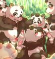 Pedo Pandas on Parade