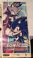 The Sonic Rush poster itself.