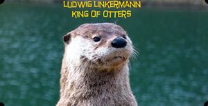 Linky otter.jpg