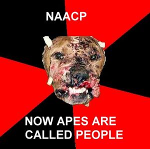 Racist dog naacp2.jpg