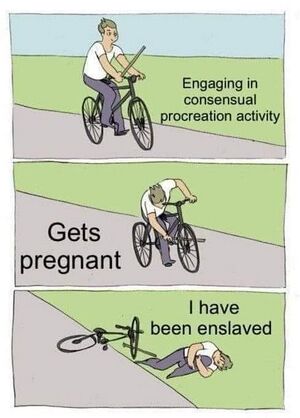 Bike meme pregnant oppressed FWCZOI1WIAIas1C.jpg