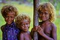 Negrocentrists always love to claim that they also have blonde hair and colored eyes. However the fact is that these boys are Aboriginals not Negroids.