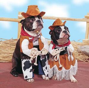 Cowboy Dogs.jpg