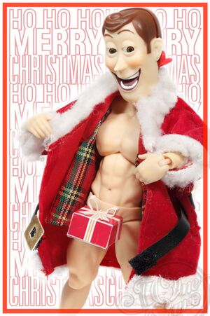 Woody Christmas.jpg