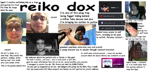 New Reiko's Dox.png