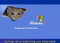 Now on Microsoft Windows