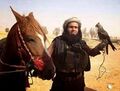 A beautiful image of Abu Walheep, looking noble as he holds one of his hawks.