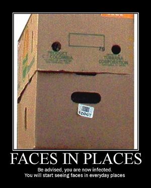 Box face.jpg