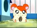 Hamtaro, inspires dreams in perverts everywhere.