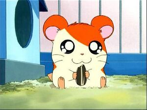 Hamtaro-eating.jpg