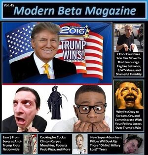 Modern beta magazine 2016.jpg