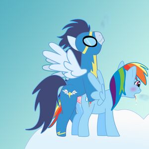 Rainbow Dash Soarin Gackt.jpg