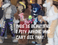 Furries