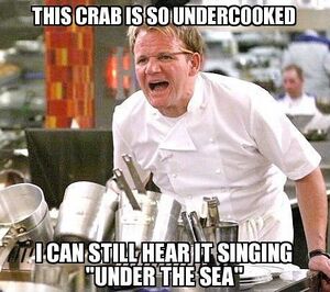 Gordon Ramsay - 08.jpg