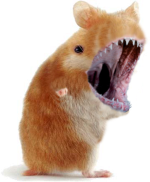 Hamstershark.png