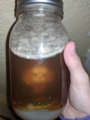 Isabelle Cum Jar