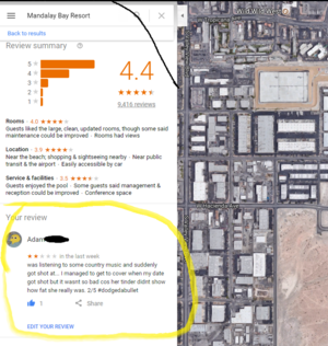 Stephen Paddock Review.png