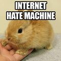 Internet hate machines can take many forms.