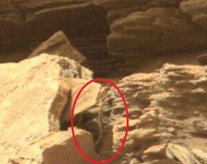 Curiosity rover mars photo snake.jpg