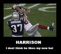 Harrison does not liek