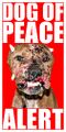 Pit Bulls - The Jihad Dog