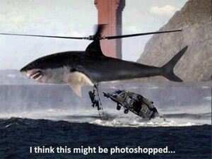 SharkCopter.jpg