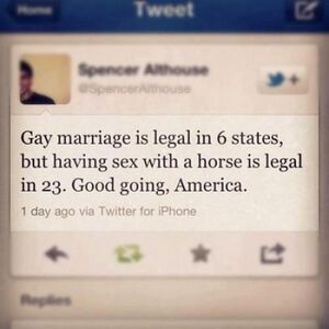 HorseSexMoreLegalThanGayMarriage.jpg